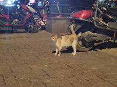 -土灶柴房(世贸店)