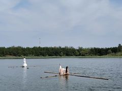 -溱湖国家湿地公园