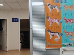 -芭比堂宠物医院·全科爱猫医院·仁德分院
