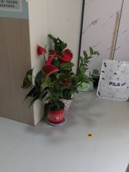 -凌老师专业母乳指导·硬块化解(闵行店)