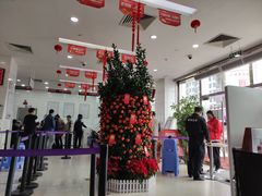 -中国光大银行(白云支行)