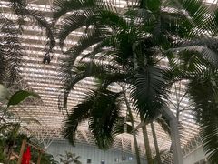 -龙脉温泉室内游泳馆