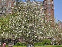 -利顺德大饭店·维多利亚花园(小白楼店)