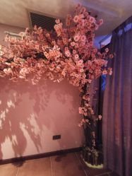 -琦品高端美容SPA会所