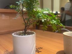 -CURRY YA 熟成咖哩專門店(深圳湾万象城店)