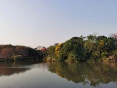 -海珠湖公园