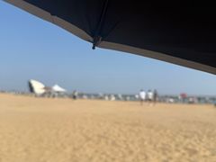 -碧海金沙