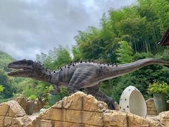 -将军关探险漂流