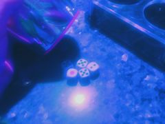 -好乐迪KTV(金钻店)