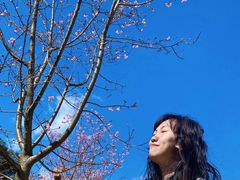 -广州市流溪河国家森林公园