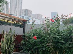 -津菜宋记老房子(鼓楼店)