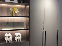 -索菲亚衣柜橱柜家具全屋定制(十里河居然之家店)