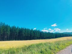 -塞罕坝国家级自然保护区