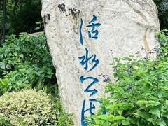 -成都市活水公园