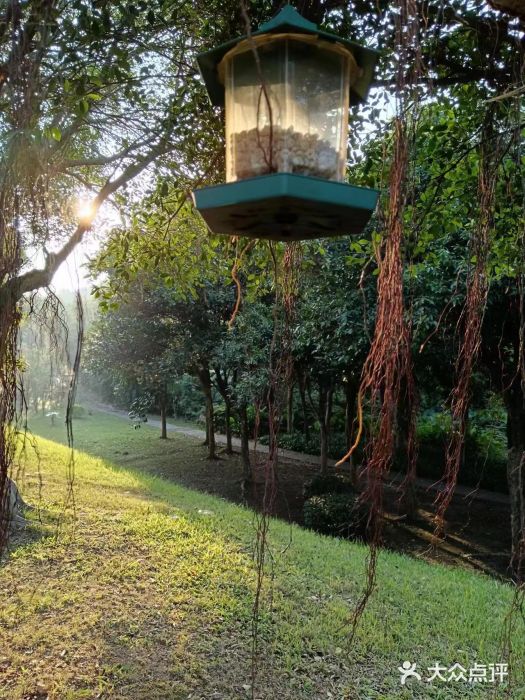 福建鲤鱼洲酒店图片