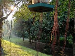 -福建鲤鱼洲酒店