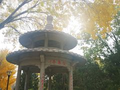 -玲珑塔公园