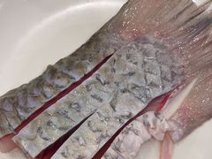 -正能量脆肉鲩火锅