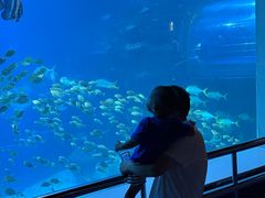 -太平洋海底世界