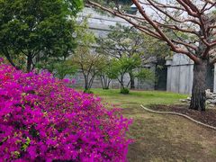 -景福宫