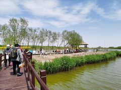 -西青郊野公园