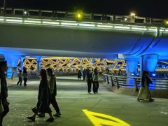 -演武大桥观景平台