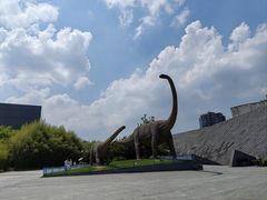 -安徽省地质博物馆