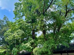 -苏州文庙(姑苏区)