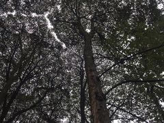 -贵州省植物园