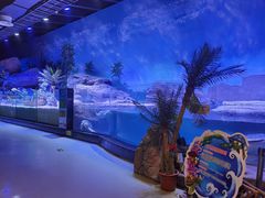 -海合安武汉极地海洋公园