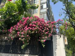 -江西老表·经典江西八大碗