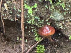 -苍山感通索道