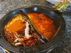 番茄锅底-蜀大侠火锅(建设路第五大道店)