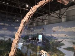 -自贡恐龙博物馆