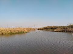 -宁波杭州湾国家湿地公园