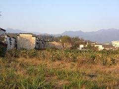 -塔川景区