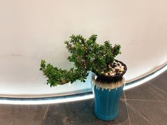 -鑫悦诚府·新鲁菜·餐厅(趵突泉店)