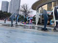 -海合安成都极地海洋公园