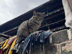 -初溪土楼群