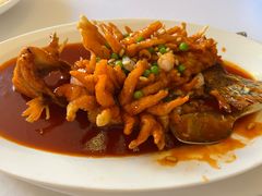 松鼠桂鱼-玫瑰厅上海菜(兴国路店)