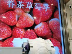 -眷茶(赛格国际购物中心店)