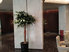-喜来登由由大酒店九州膳坊中餐厅