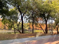 -广州市白云山风景名胜区