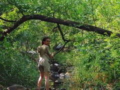 -碓臼峪自然风景区