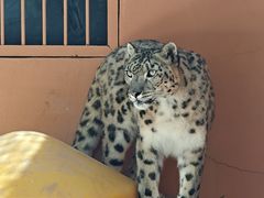 -青藏高原野生动物园