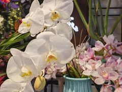 -循礼门鲜花花市(武汉循礼门店)