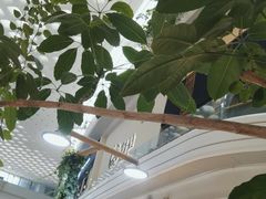-吕氏疙瘩汤·海鲜新鲁菜(凯德mall新都心店)