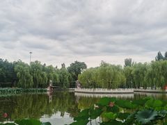-丰台花园
