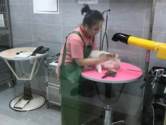 -宠福鑫康馨动物医院·骨科·眼科
