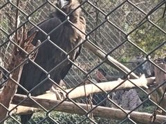 -合肥野生动物园